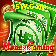 Flash Promotion 818P